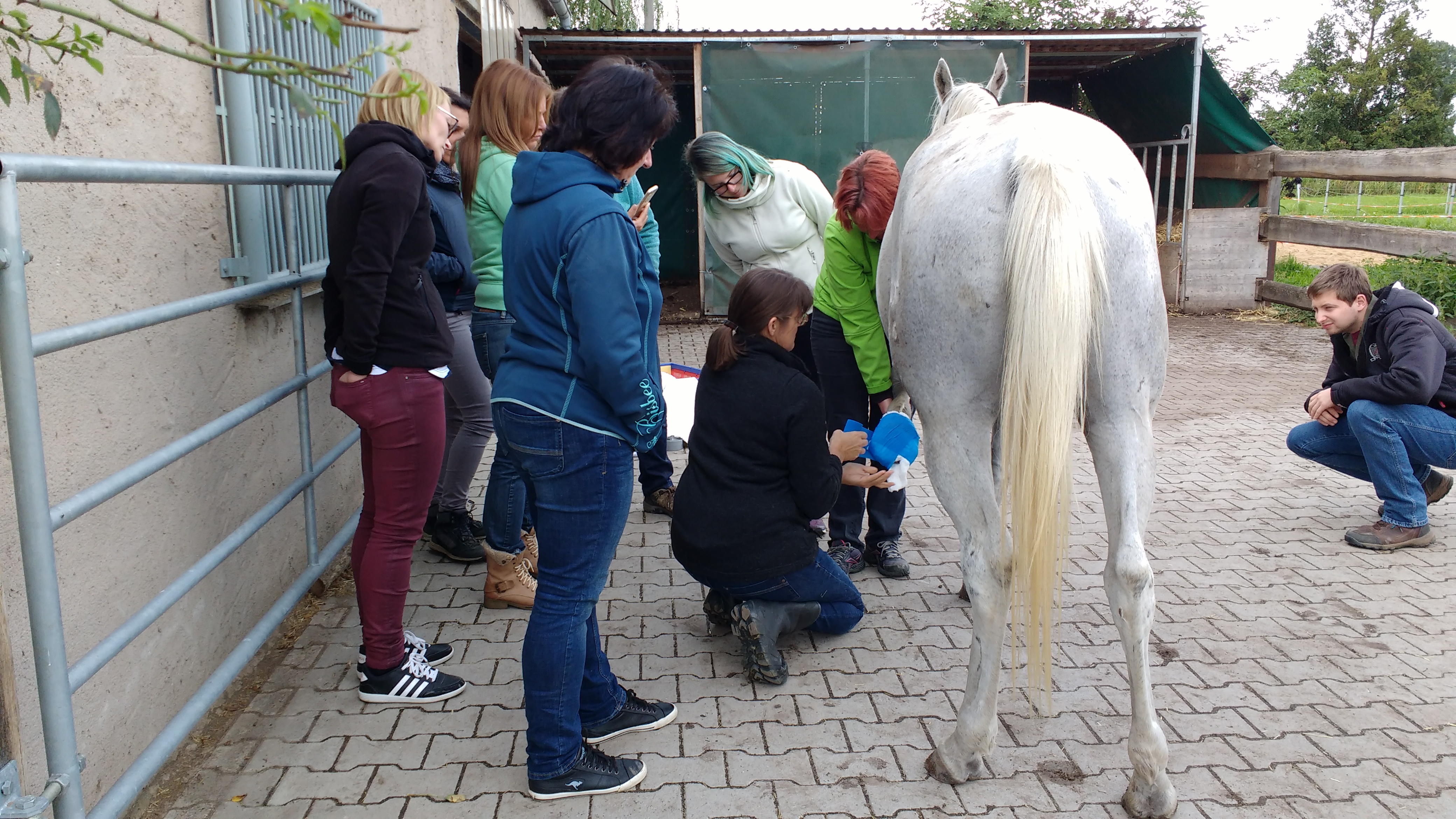 Positive Resonanz zum 2. Pferdefachtag am vergangenen Samstag in der Burgstallmühle1, 91572 Bechhofen: